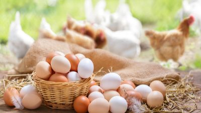 व्यवसायीले बल्ल पाए ‘अण्डा’ को लागत मूल्य