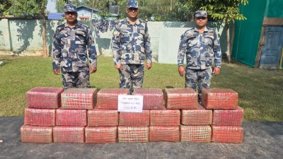 दुई सय १३ किलोग्राम गाँजा बरामद