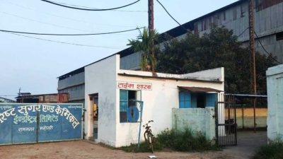 एभरेष्ट चिनी उद्योगमा उखु क्रसिङ सुरु