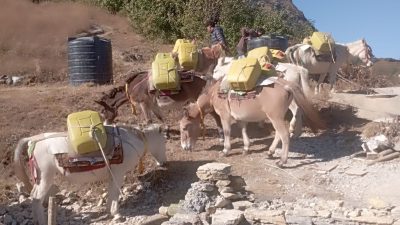 पर्यटकको आकर्षक गन्तव्य बन्दै खाँचीकोट हिल स्टेसन