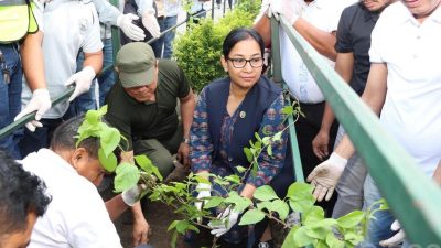 भरतपुरको मुहार फेरेर बिदा लिँदै मेयर ‘रेनु दाहाल’