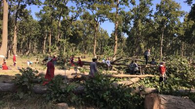 कार्यविधि नहुँदा जटिल बन्दै सुदूरपश्चिमका वन