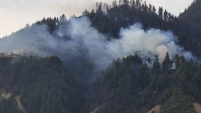 डढेलो नियन्त्रण गर्न स्वयंसेवक