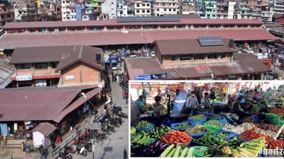 यस्तो छ आजका लागि कृषिउपजको थोक मूल्य