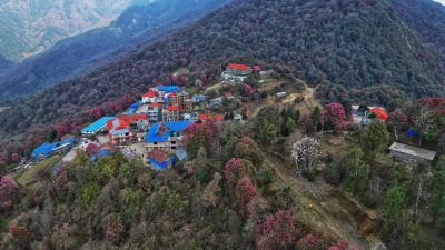 गुराँसले रङ्गिएको घोडेपानी पर्यटकको पर्खाइमा