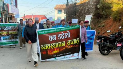 डढेलो नियन्त्रणका लागि सप्ताहव्यापी सचेतनामूलक कार्यक्रम सञ्चालन