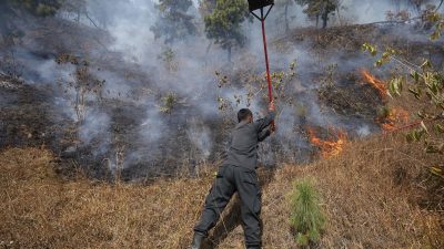 डढेलो व्यवस्थापन सप्ताह आजदेखि सुरु