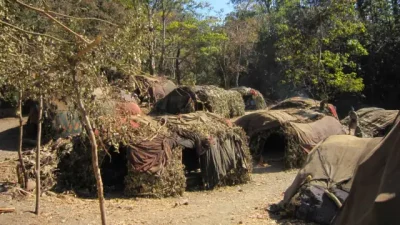 सुकेका रुखले बस्तीमा जोखिम बढाउँदै