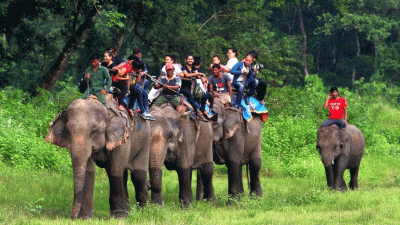 चितवन राष्ट्रिय निकुञ्जमा पर्यटक आगमन बढ्यो