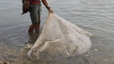 राप्ती नदीमा अनुमतिविना  माछा मार्ने पक्राउ