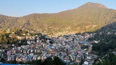 गुल्मीको तम्घास