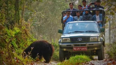 बरण्डाभार जङ्गल क्षेत्रमा हाइकिङ र सन्ध्याकालीन सफारीको तयारी