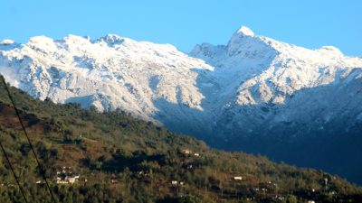 योजना अधिकृत हमालको लेक लागेर मृत्यु