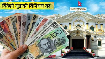 अमेरिकी डलरको भाउ बढ्यो