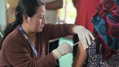 नवलपरासीपूर्वमा‘जापनिज इन्सेफ्लाइटिस’ सङ्क्रमणदर उच्च :  ३५ वर्षमाथिलाई खोप लगाईँदै