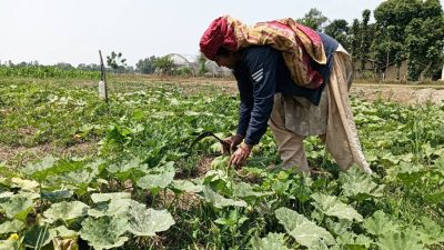 किसानलाई अधिकतम  दुई लाखसम्म अनुदान