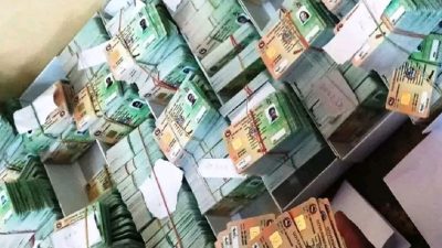 ‘लाइसेन्स’ छपाइ तीव्र गतिमा