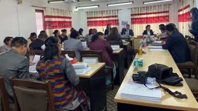 सीमित स्रोतसाधनमा काम गर्न बाध्य : मधेसी आयोग