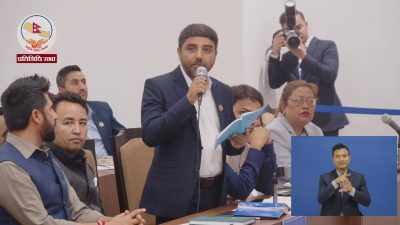 प्रधानमन्त्री शाह एक साताभित्र सदनमा उपस्थित हुनुहुन्छ : मुख्य सचेतक बुर्लाकोटी
