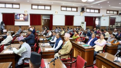 राष्ट्रियसभामा विनियोजन विधेयकका सिद्धान्त र प्राथमिकतामाथि छलफल