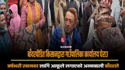 बाँदरपीडित किसानद्वारा गाउँपालिका कार्यालय घेराउ : नियन्त्रण गर्न स्वयम्सेवक परिचालन&hellip;
