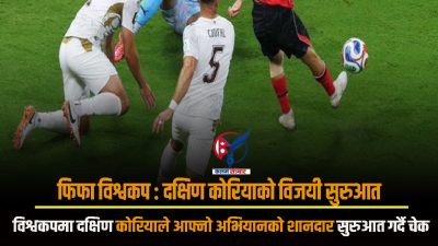फिफा विश्वकप : दक्षिण कोरियाको विजयी सुरुआत