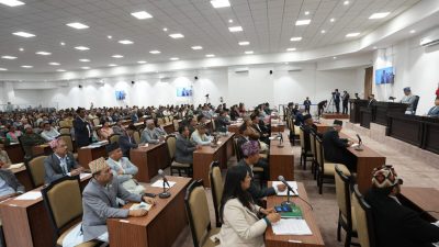 बजेट विनियोजन गर्दा प्रदेश र स्थानीय तहलाई ध्यान दिन सांसदको माग