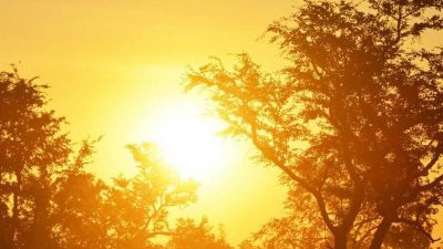 मधेस र कोशी प्रदेशको तराई क्षेत्रमा तातो दिन हुने सम्भावना