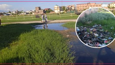 सिसी क्यामेराको निगरानीमा भरतपुर