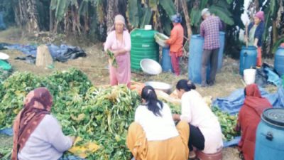 वरिष्ठ श्रष्ठा पराजुलीको ऐतिहासिक उपन्यास ‘बखान’को दोस्रो संस्करण सार्वजनिक