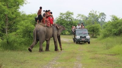 शुक्लाफाँटा राष्ट्रिय निकुञ्जमा पर्यटकको आकर्षण बढ्दो