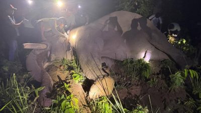 ‘ध्रुवे’लाई ‘रेडियो कलर’ जडान गरेर छाडियो
