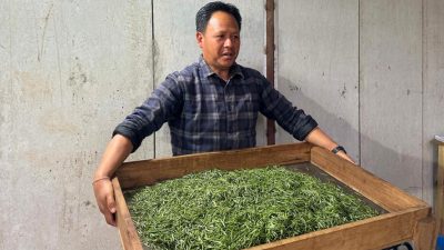 आठ करोडको लगानीमा चिया उद्योग सञ्चालन : उत्पादित ‘अर्गानिक अर्थोडक्स’&hellip;
