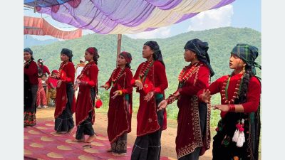 ‘लालीबजार’ को धेरै आम्दानी