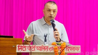 सुशासनलाई केन्द्रमा राखेर संविधान संशोधन गरौँः सभापति थापा