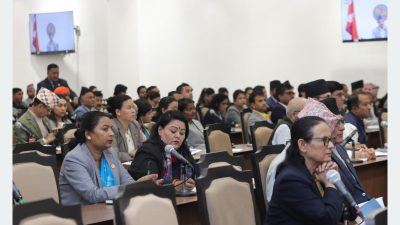 दुई विधेयक दफावार छलफलका लागि समितिमा पठाउने प्रस्ताव स्वीकृत