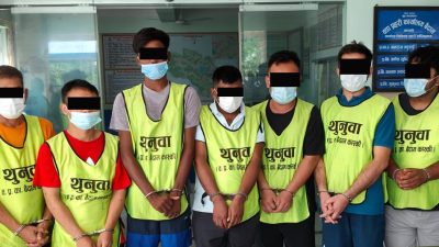 शृङ्खलाबद्ध चोरीका घटनामा संलग्न गिरोह पक्राउ