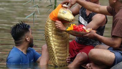 आज नाग पञ्चमी, यस्तो छ धार्मिक, साँस्कृतिक र पर्यावरणीय महत्त्व